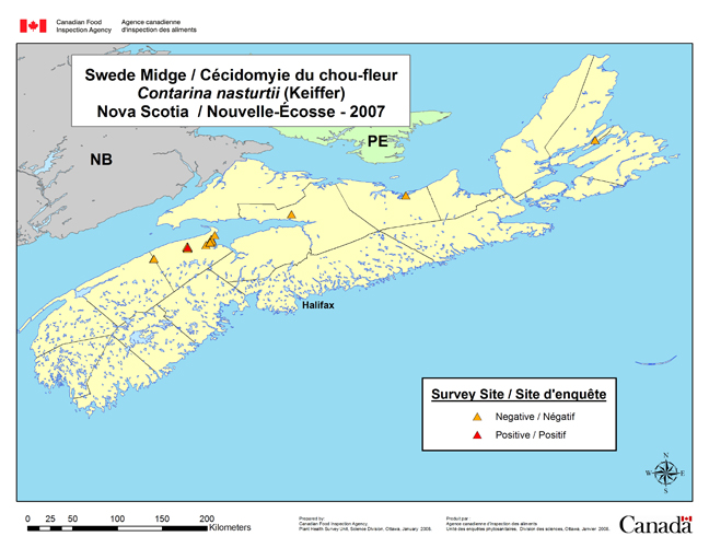 Carte d'enquête de Contarinia nasturtii, Nouvelle-Écosse 2007
