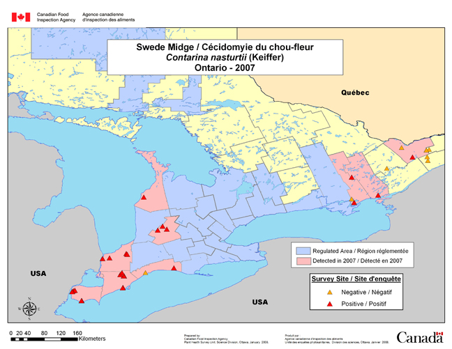 Carte d'enquête de Contarinia nasturtii, Ontario 2007