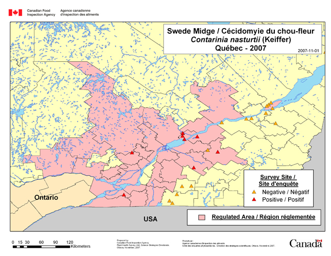 Carte d'enquête de Contarinia nasturtii, Québec 2007