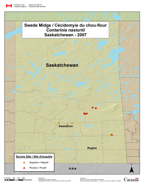 Carte d'enquête de Contarinia nasturtii, Saskatchewan 2007