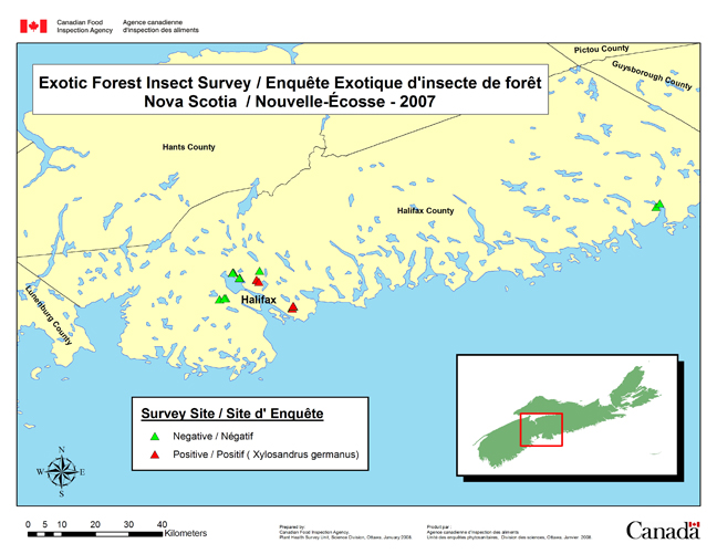 Carte d'enquête de Exotic Forest Insects, Nouvelle-Écosse 2007