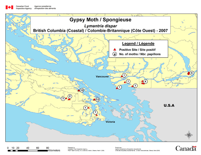 Carte d'enquête de Lymantria dispar, Colombie-Britannique Côtière 2007
