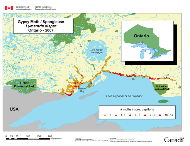 Carte d'enquête de Lymantria dispar, Ontario 2007