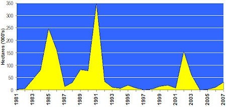 Graph - Gypsy Moth Defoliation in Ontario, 1981-2007