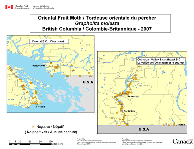 Carte d'enquête de Tordeuse orientale du pêcher, Colombie-Britannique 2007