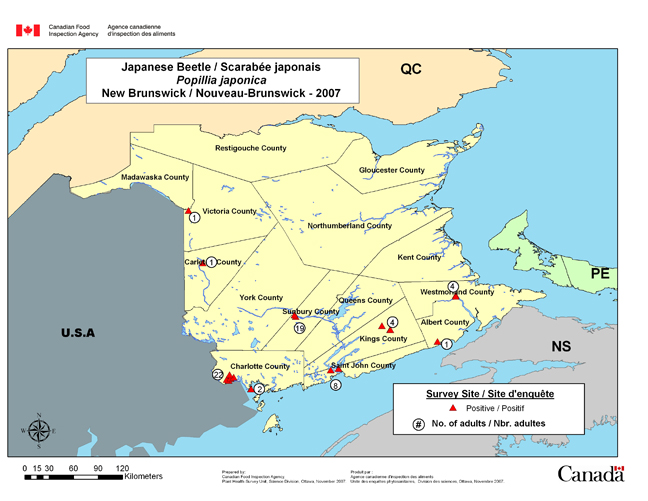 Carte d'enquête de Popillia japonica, Nouveau-Brunswick 2007