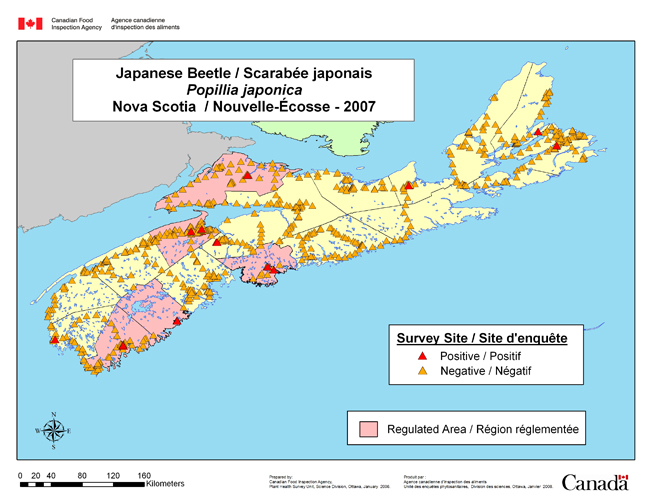Carte d'enquête de Popillia japonica, Nouvelle-Écosse 2007