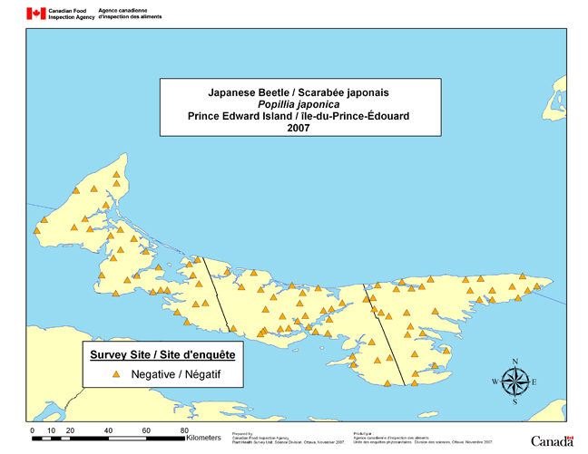 Carte d'enquête de Popillia japonica, Île-du-Prince-Édouard 2007