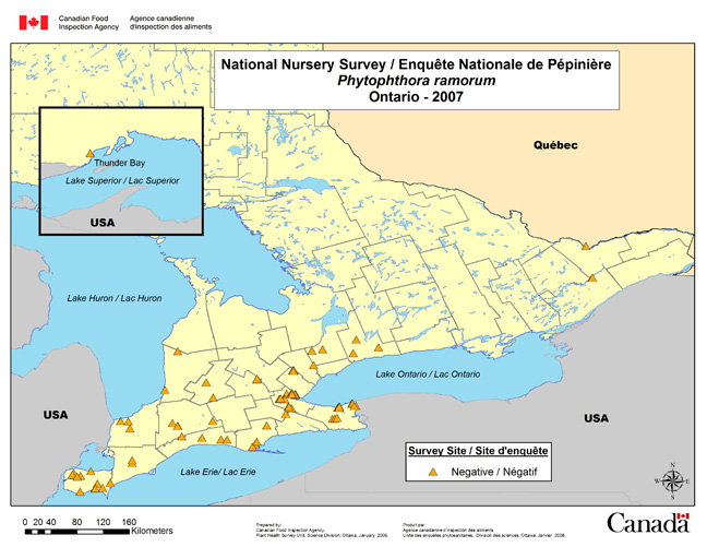 Carte d'enquête de Phytophthora ramorum, Ontario 2007