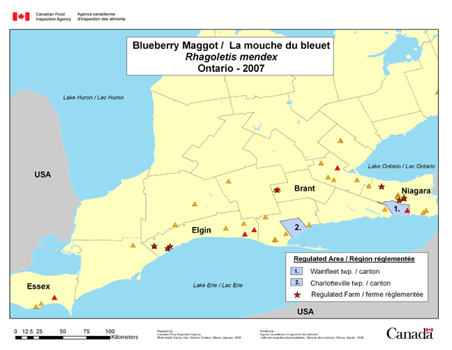 Carte d'enquête de Rhagoletis mendax, Ontario 2007