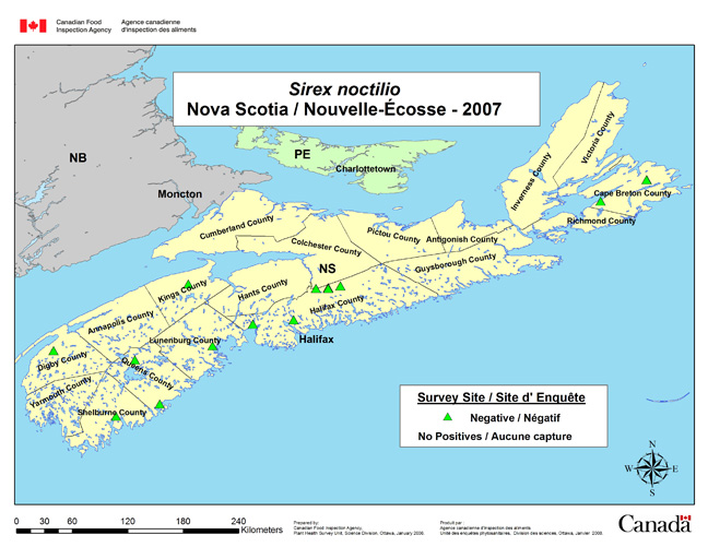 Carte d'enquête de Sirex noctilio, Nouvelle-Écosse 2007