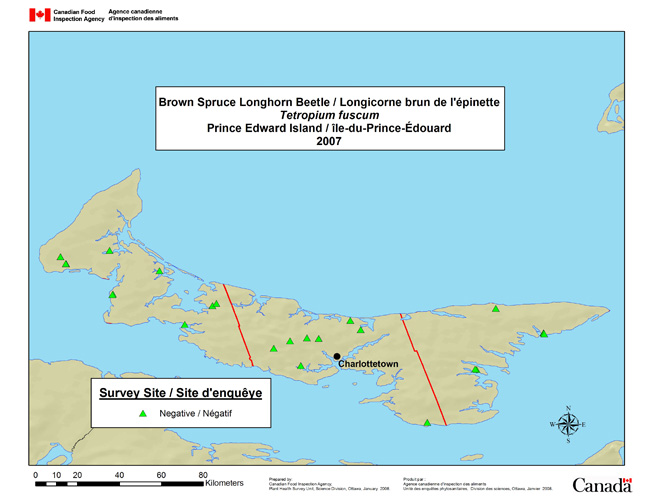 Carte d'enquête de Tetropium fuscum, Île-du-Prince-Édouard 2007
