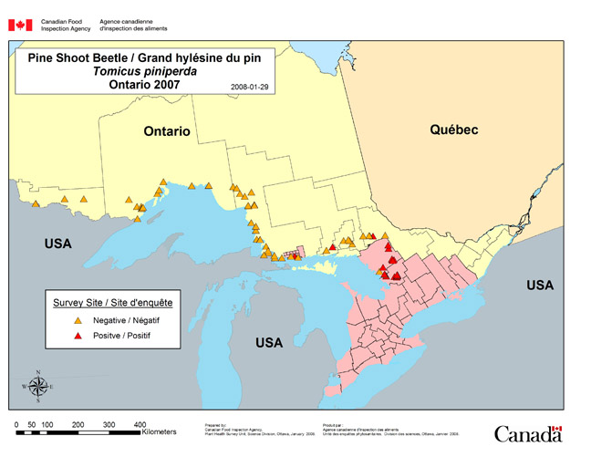 Carte d'enquête de Tomicus piniperda, Ontario 2007