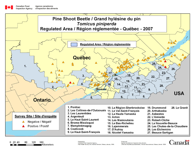 Carte d'enquête de Tomicus piniperda, Québec 2007