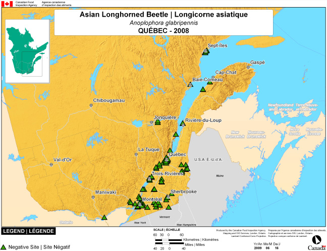 This map shows surveying sites for Asian longhorned bettle in the Montreal and southern Quebec. There were 0 positive locations found in the 54 survey locations.
