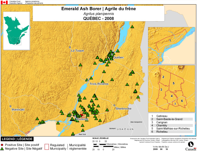 Survey Map for Agrilus planipennis, Québec 2008