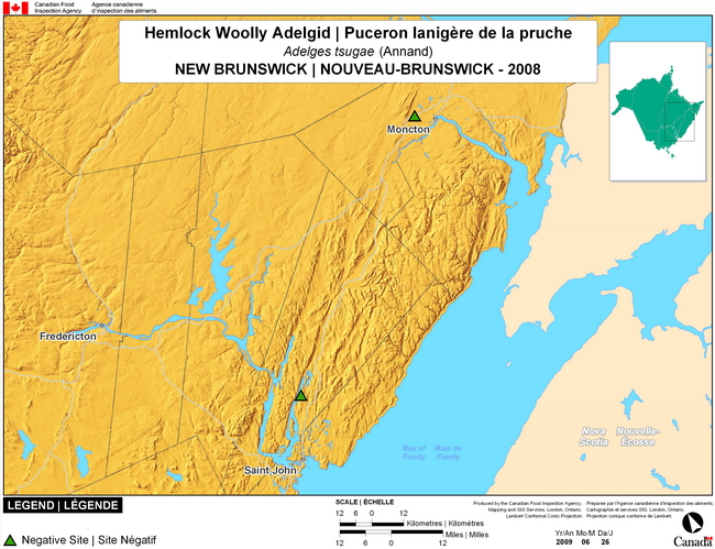 Cette carte montre les sites de dépistage du puceron lanigère de la pruche au Nouveau-Brunswick. Aucun (0) site positif n'a été observé parmi les trois (3) sites de dépistage.
