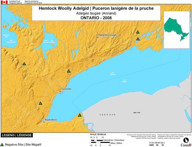 This map shows surveying sites for Hemlock Woolly Adelgid in southeast Ontario. There were 0 positive sites found in 10 sites.