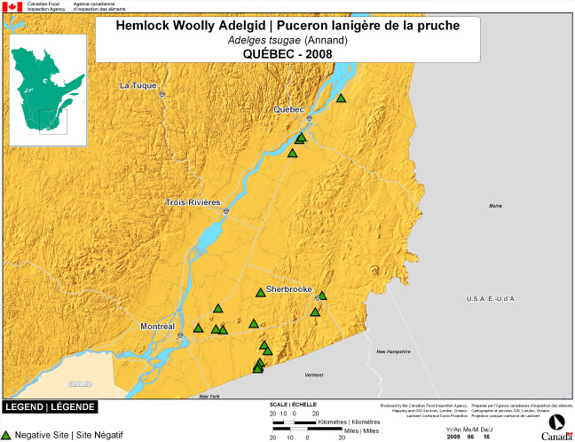 Cette carte montre les sites de dépistage du puceron lanigère de la pruche dans le sud-est du Québec. Aucun (0) site positif n'a été observé parmi les 18 sites de dépistage.