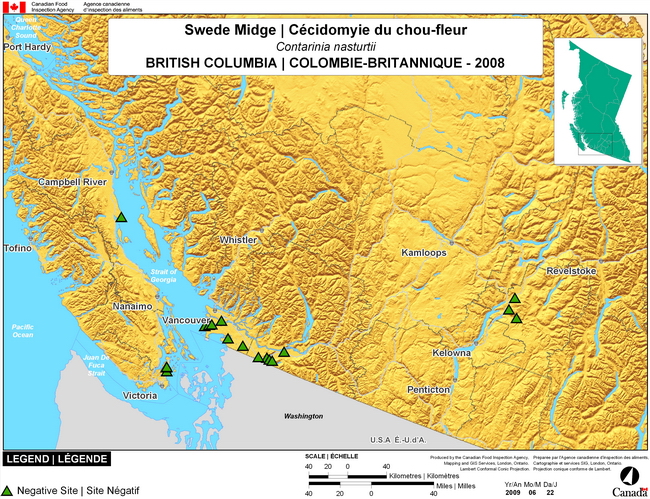 This map shows surveying sites for Swede Midge in southwest British Columbia. There were 0 positive sites found in 19 sites.