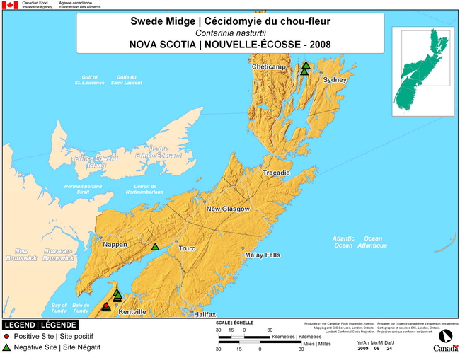 This map shows surveying sites for Swede Midge in Nova Scotia. There were 2 positive sites found in 12 sites.