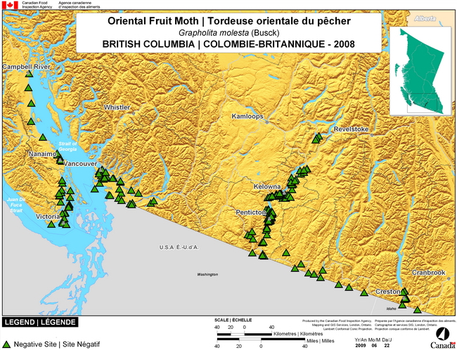 Cette carte montre les sites de dépistage de la tordeuse orientale du pêcher en Colombie-Britannique. Aucun (0) site positif n'a été observé parmi les 180 sites de dépistage.