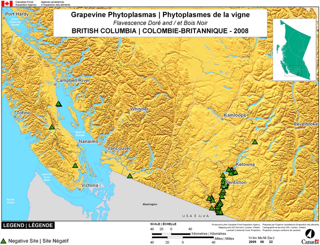 This map shows surveying sites for Grapevine Phytoplasma in the southern British Columbia.  There were 0 positive sites found in 48 sites.