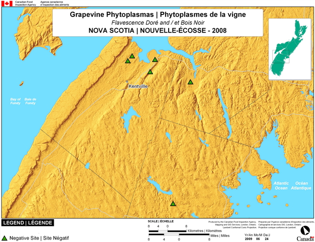 This map shows surveying sites for Grapevine Phytoplasma in the surrounding area of Kentville, Nova Scotia. There were 0 positive sites found in 2 sites.