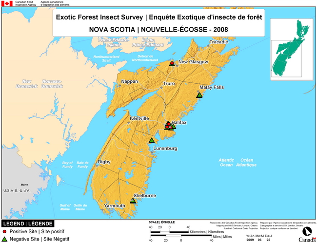 This map shows surveying sites for Exotic Forest Insects in Nova Scotia. There were 4 positive locations in Halifax and New Glascow found in the 10 survey locations.