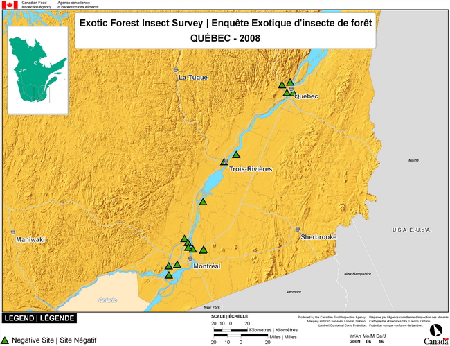Survey Map for Exotic Forest Insects, Quebec  2008