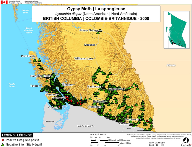 This map shows surveying sites for North American Gypsy Moth in British Columbia. There were 21 positive traps found in 4440 traps.