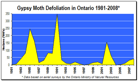 Graph - Gypsy Moth Defoliation in Ontario, 1981-2008