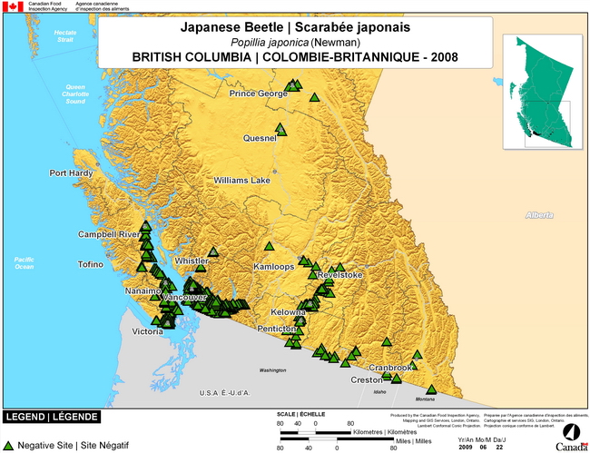 Cette carte montre les sites de dépistage du scarabée japonais en Colombie-Britannique. Aucun (0) piège positif n'a été observé parmi les 600 pièges.