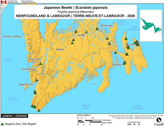 Cette carte montre les sites de dépistage du scarabée japonais à Terre-Neuve-et-Labrador. Aucun (0) site positif n'a été observé parmi les 54 sites de dépistage.