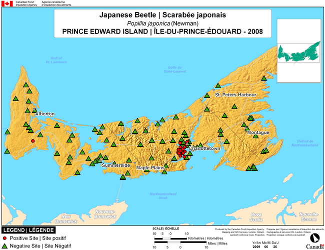 Cette carte montre les sites de dépistage du scarabée japonais à l'Île-du-Prince-Édouard. Dix-sept (17) sites positifs ont été observés à Cornwall et à Charlottetown parmi les 111 sites de dépistage.