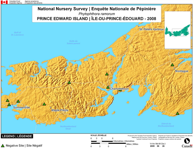 Cette carte montre les sites de dépistage de l'encre des chênes rouges dans la région du centre de l'Île-du-Prince-Édouard. Aucun (0) site positif n'a été observé parmi les 96 sites de dépistage.