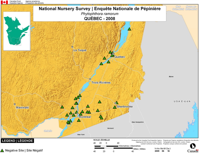This map shows surveying sites for Phytophthora ramorum in southeast Quebec. There were 0 positive sites found in 127 sites.