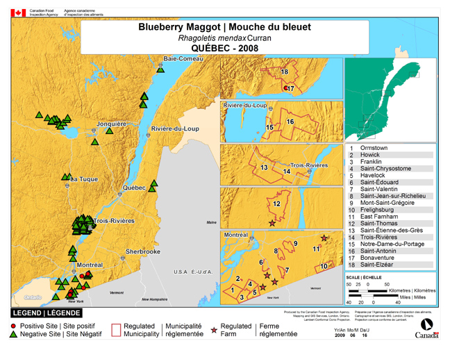 Carte d'enquête de Rhagoletis mendax, Québec 2008