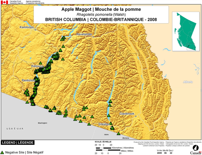 This map show surveying sites for Apple Maggot in southwest British Columbia. There were 0 positive traps found in 409 traps.
