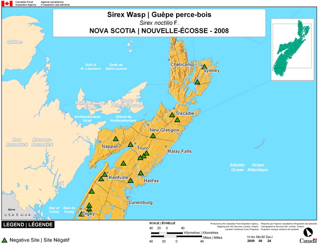 Cette carte montre les sites de dépistage du sirex européen du pin en Nouvelle-Écosse. Aucun (0) site positif n'a été observé parmi les 20 sites de dépistage.