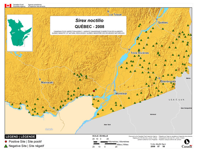 This map shows surveying sites for European Wood Wasp in southern Quebec. There were 1 positive location in Lachute found in 158 surveying locations.