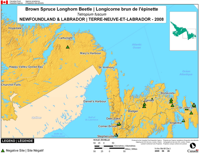 Cette carte montre les sites de dépistage du longicorne brun de l'épinette à Terre-Neuve-et-Labrador. Aucun (0) site positif n'a été observé parmi les 18 sites de dépistage.