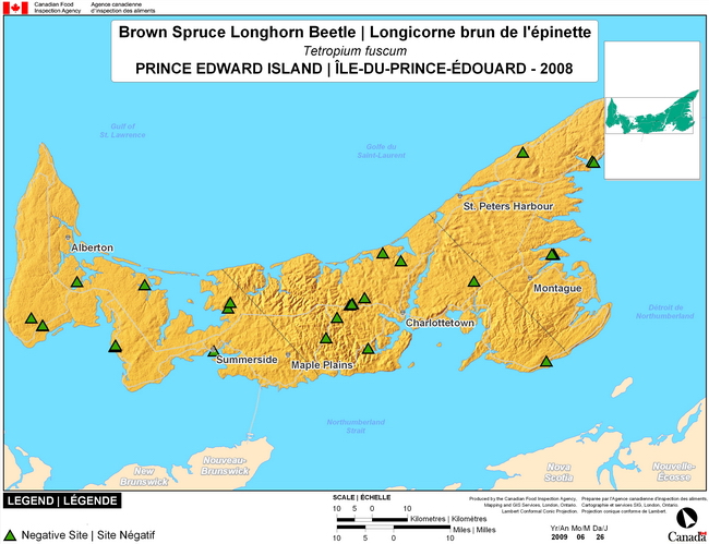 This map shows surveying sites for Brown Spruce Longhorned Beetle in Prince Edward Island. There were 0 positive sites found in 20 sites.