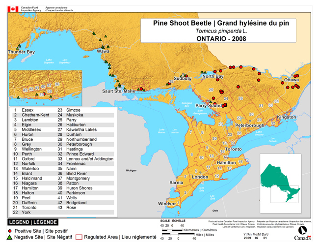 Carte d'enquête de Tomicus piniperda, Ontario 2008