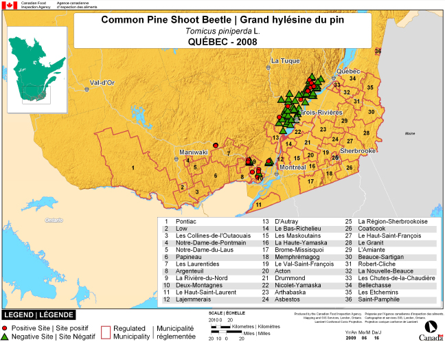 Carte d'enquête de Tomicus piniperda, Québec 2008