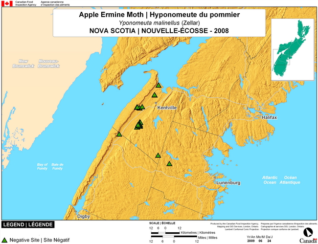 Cette carte montre les sites de dépistage de l'hyponomeute des pommiers dans le sud de la Nouvelle-Écosse. Aucun (0) site positif n'a été observé parmi les 16 sites de dépistage.