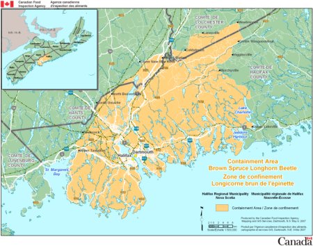 Brown Spruce Longhorn Beetle - Area Regulated by Ministerial Order
