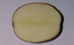 Sliced tuber