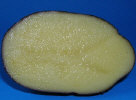 Sliced tuber