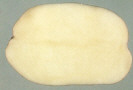 Sliced Tuber